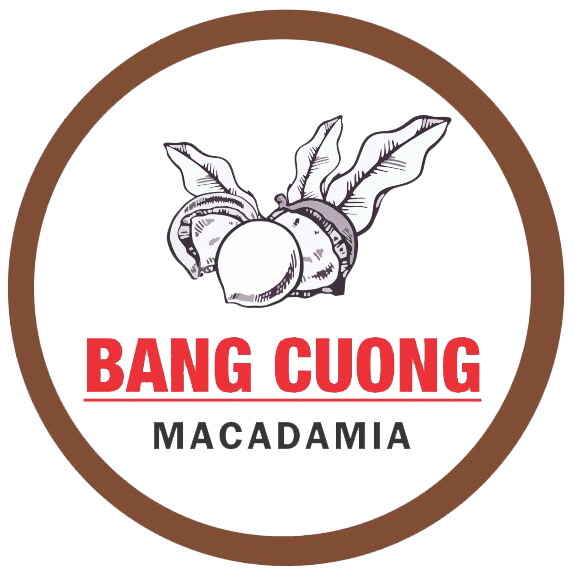 macasachilangson.com